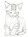 Dreamy Catnap Coloring Page: Whimsical Relaxation Royalty Free Stock Photo